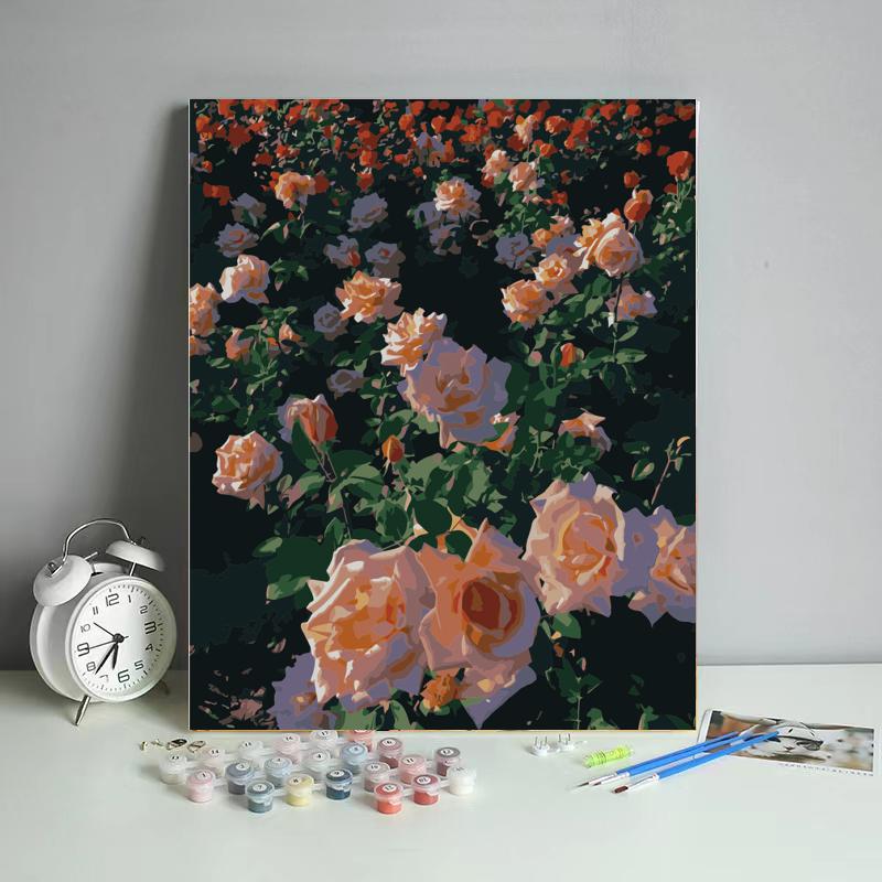 Sunlit Peach Rose Garden - 40x50 cm paint by numbers kit