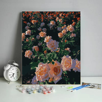 Sunlit Peach Rose Garden - 40x50 cm paint by numbers kit