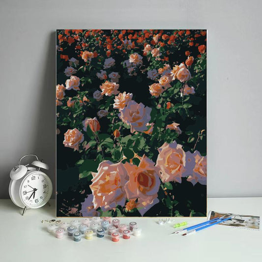 Sunlit Peach Rose Garden - 40x50 cm paint by numbers kit