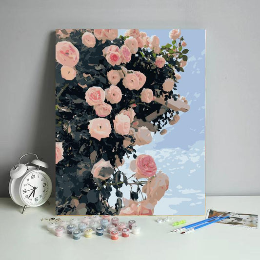 Blush Rose Canopy - 40x50 cm paint by numbers kit