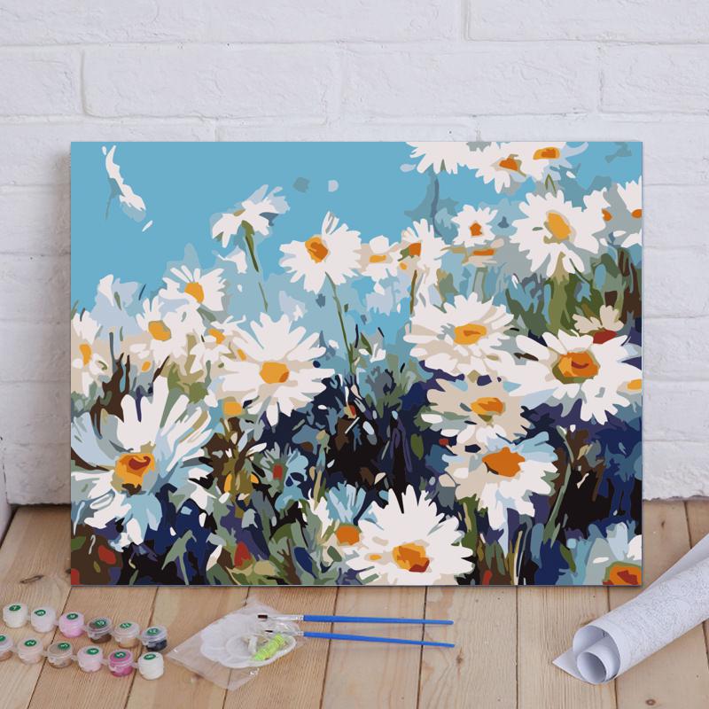 Daisies Under Blue Sky - 40x50 cm paint by numbers kit