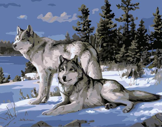 Winter Wolf Pair - 40x50 cm paint by numbers kit
