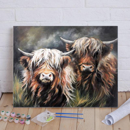 Highland Cattle Pair - 40x50 cm paint by numbers kit