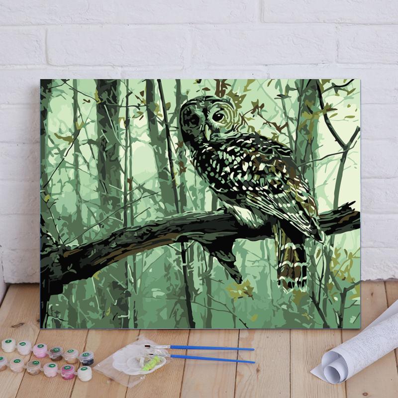 Forest Owl - 40x50 cm paint by numbers kit
