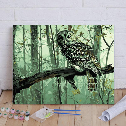 Forest Owl - 40x50 cm paint by numbers kit