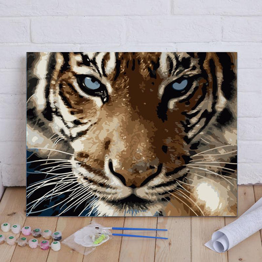 Tiger Eyes - 40x50 cm paint by numbers kit