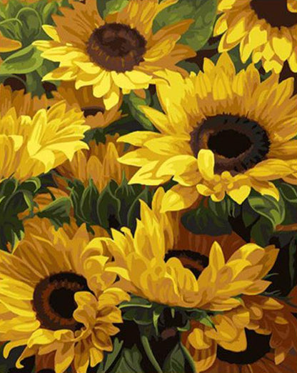 Sunflower Bloom