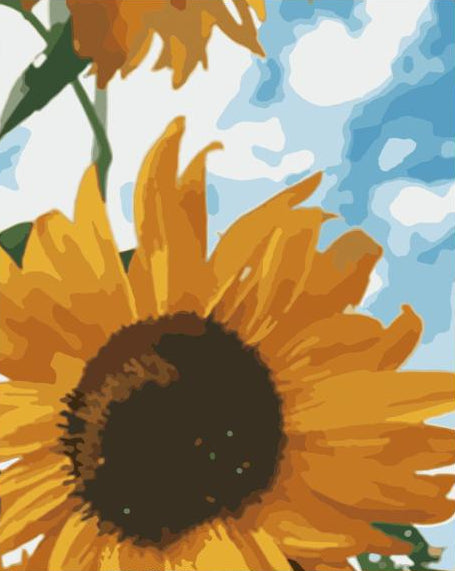 a sunflower