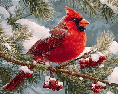 Winter Cardinal Perch