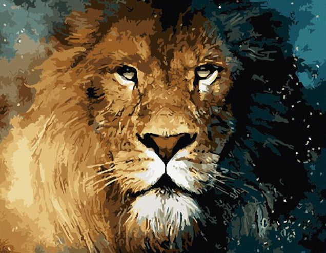 Majestic Lion Gaze