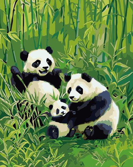 pandas in a bamboo forest