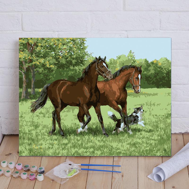 Horses Running with Border Collie - 40x50 cm paint by numbers kit