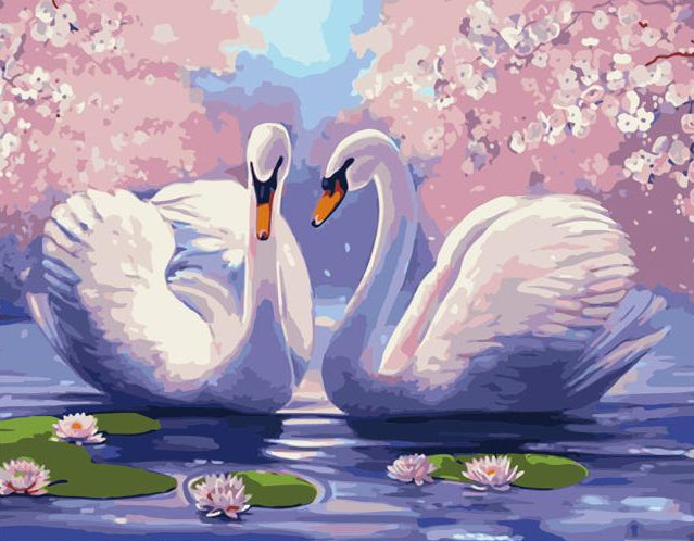 Swan Pair on the Lake