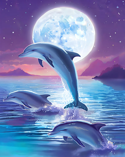 Moonlight Dolphins