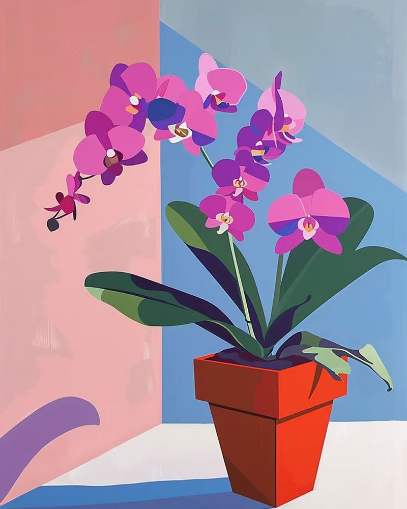 Orchid Corner Bloom - 40x50 cm
