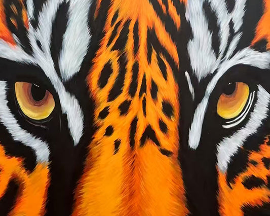 Tiger Gaze Close Up - 40x50 cm paint by numbers kit