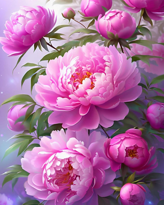 Pink Peony Bloom - 40x50 cm